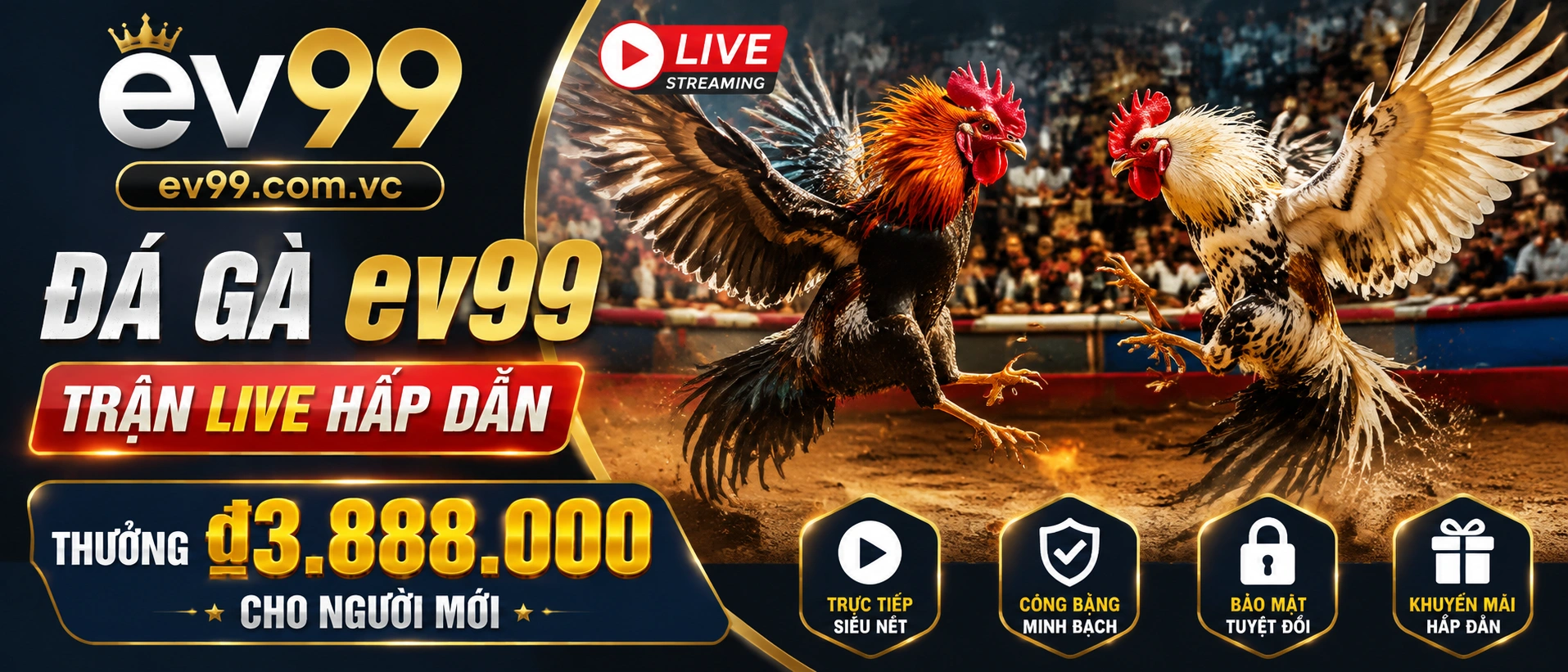 Đá Gà trực tiếp live room