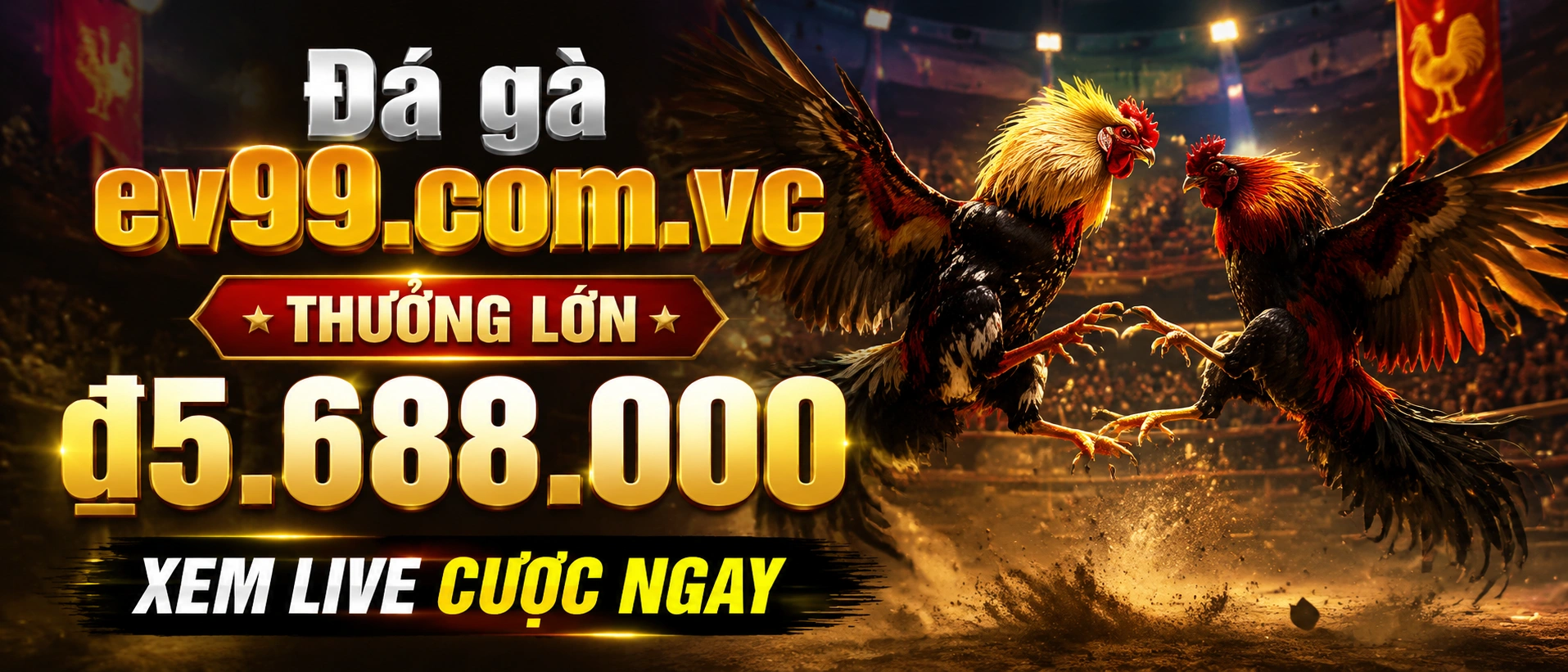 Đá Gà cựa sắt featured content